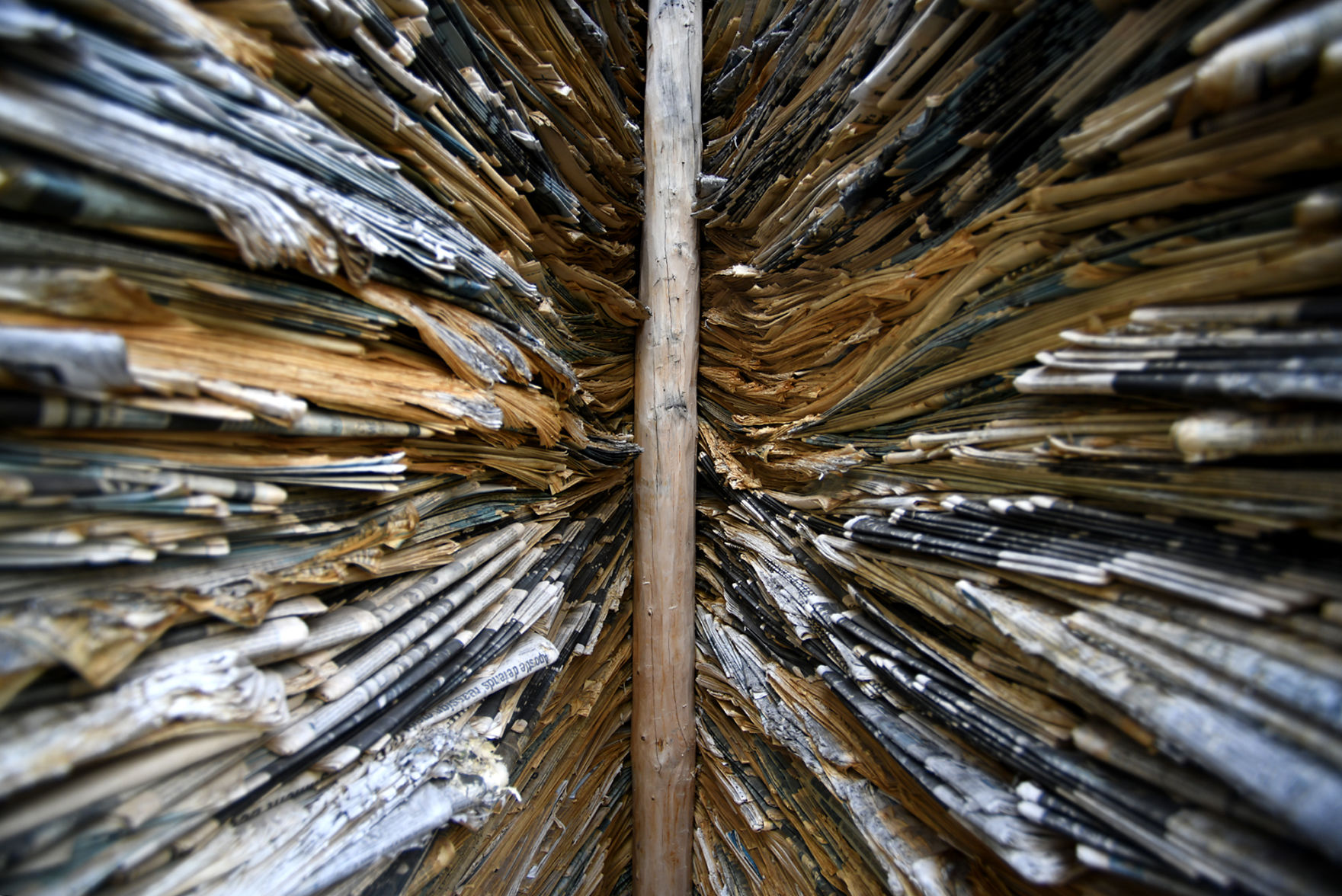 Sculpture Wild 6